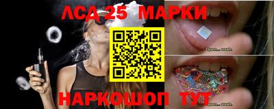 МДПВ Новодвинск