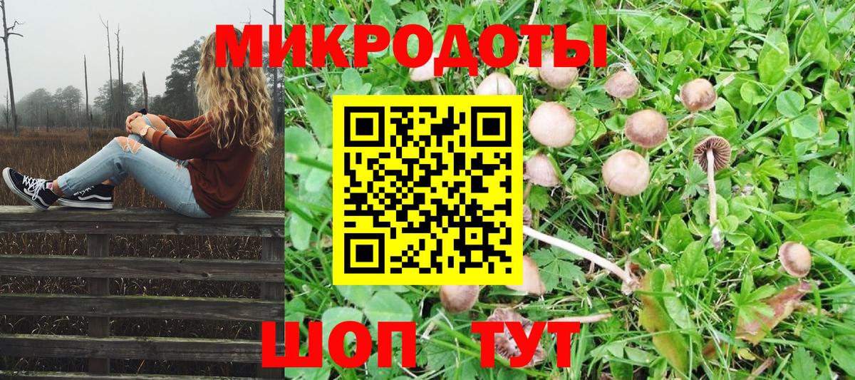 Псилоцибиновые грибы мухоморы Усть-Илимск